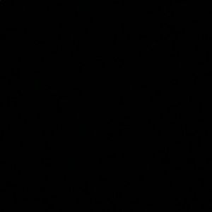 Meet your Posher, Leon